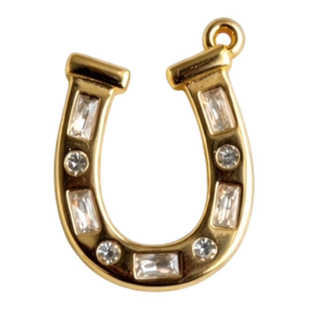 Lucky Horse Shoe.png